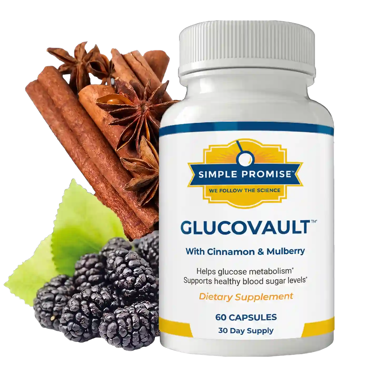 GlucoVault